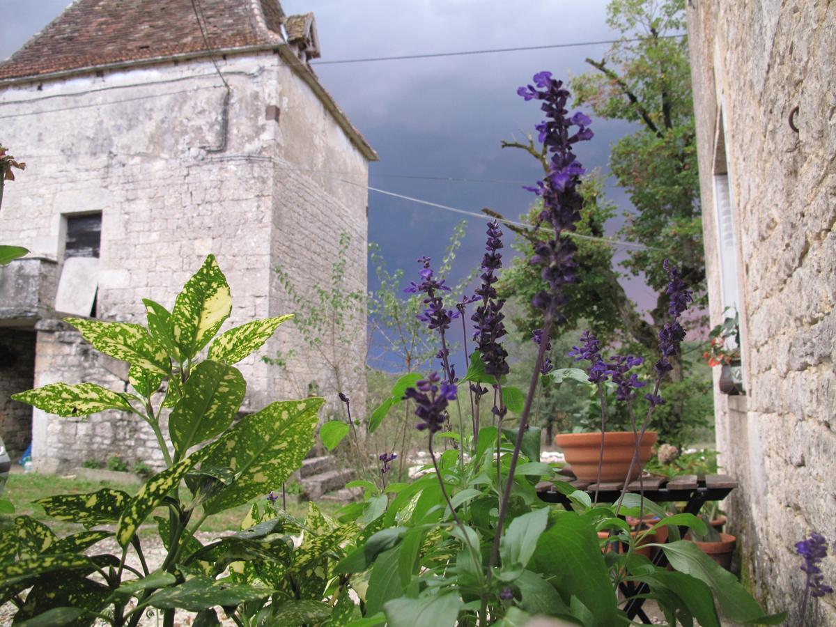 Roquedure Farm Montfaucon (Lot)