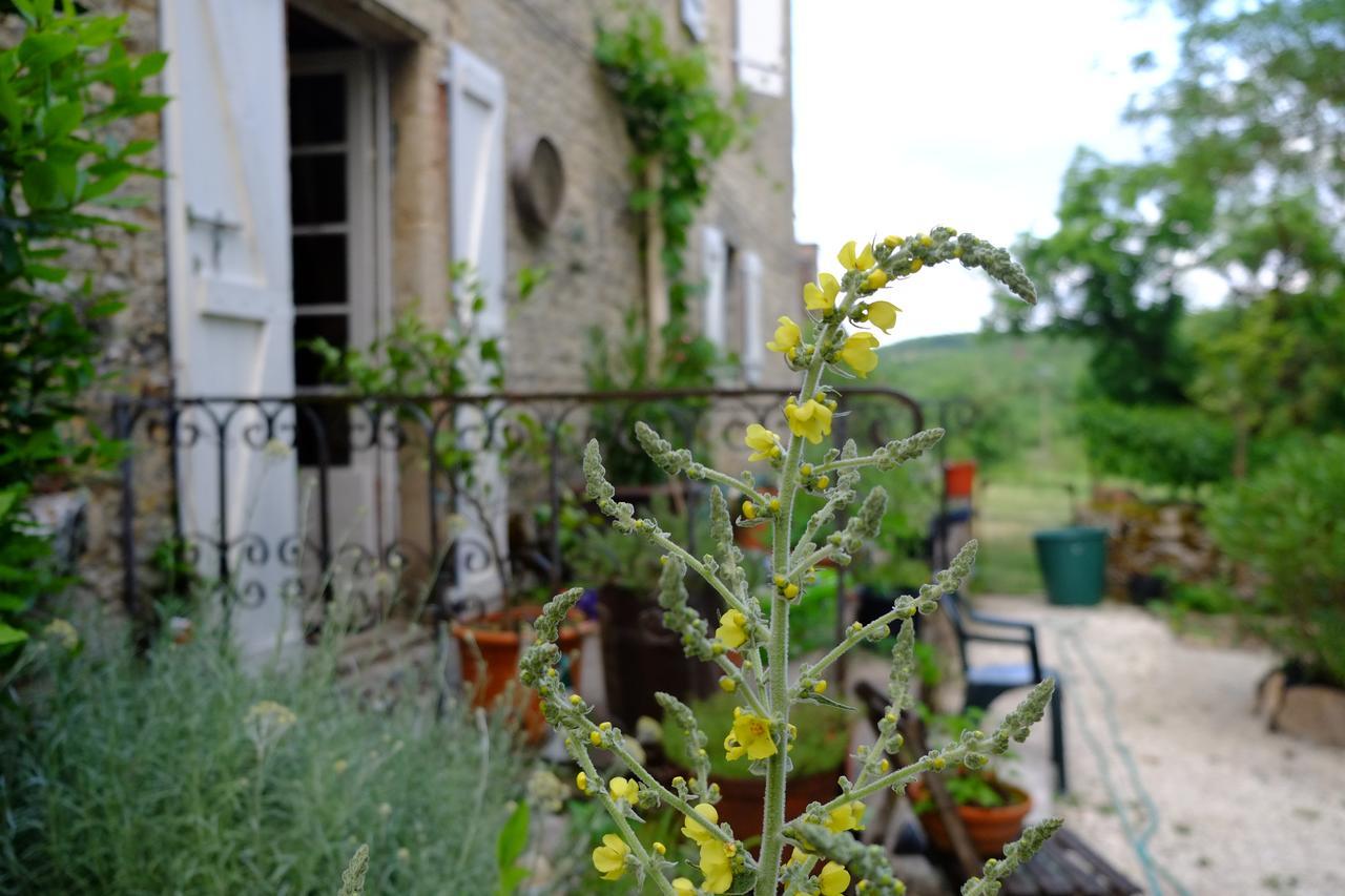 Roquedure Farm Montfaucon (Lot)