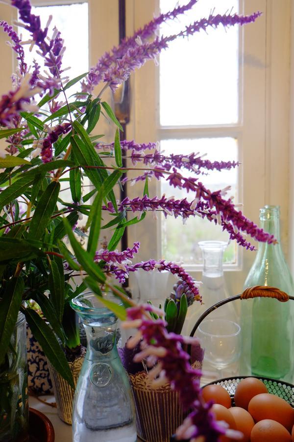 Roquedure Farm Bed & Breakfast
