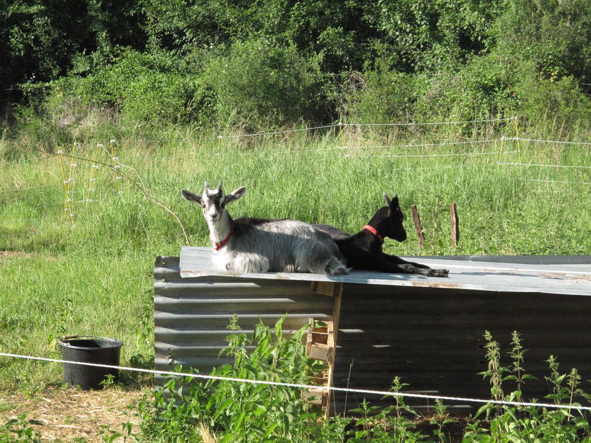 Roquedure Farm