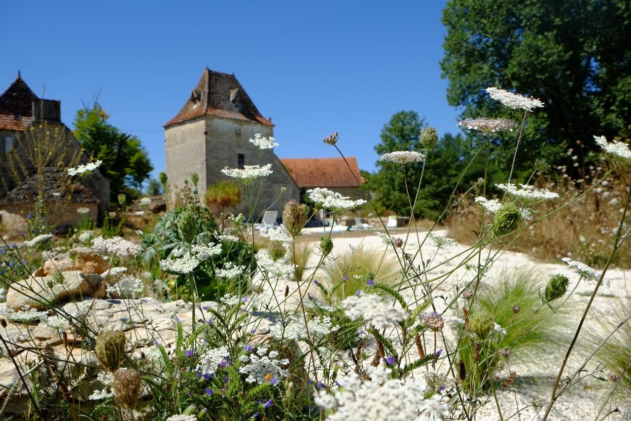 Roquedure Farm Montfaucon (Lot)